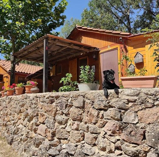 Càmping Sierra De